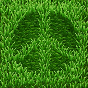 Peace Grass